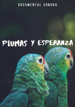 Plumas y Esperanza