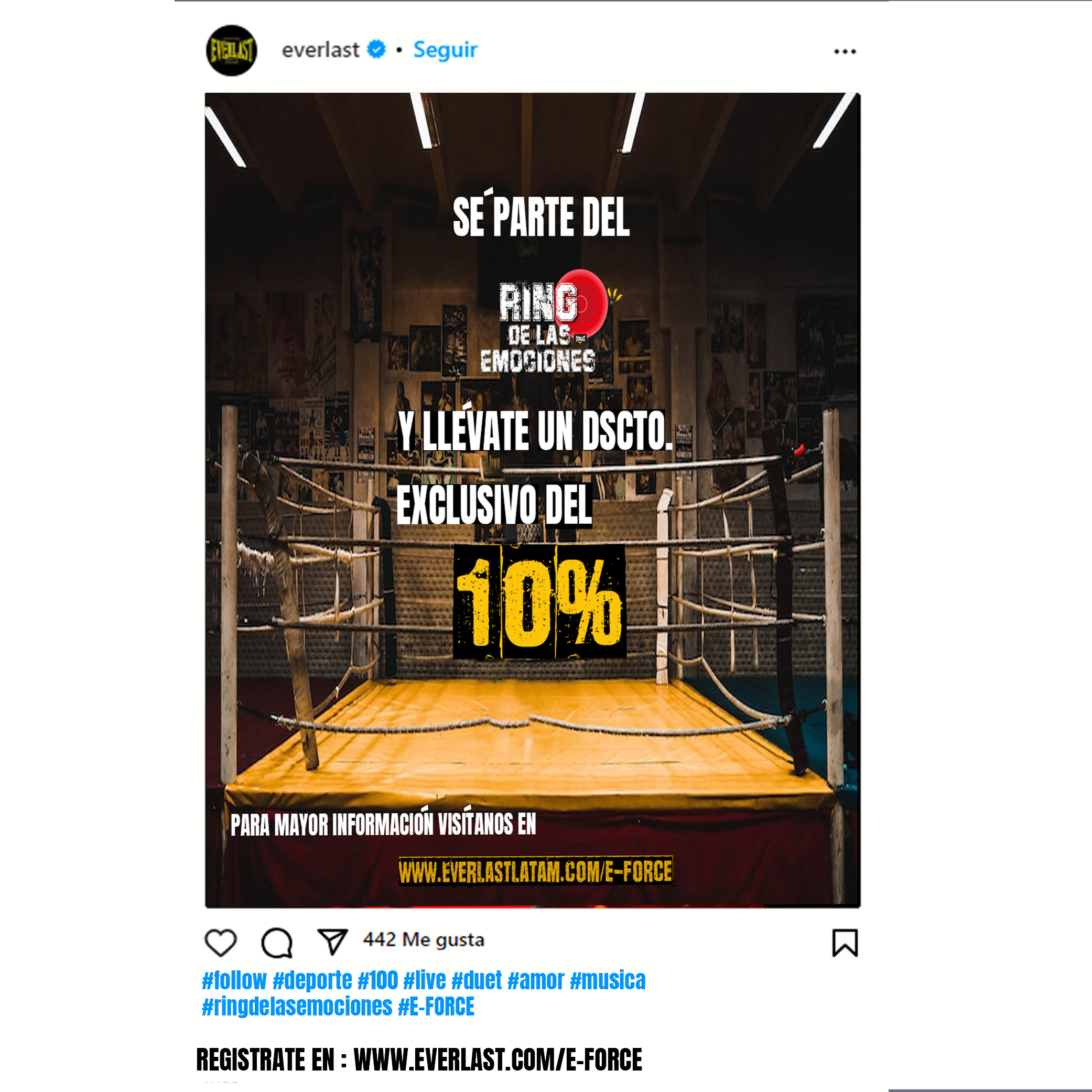 Ring de las emociones/Everlast​