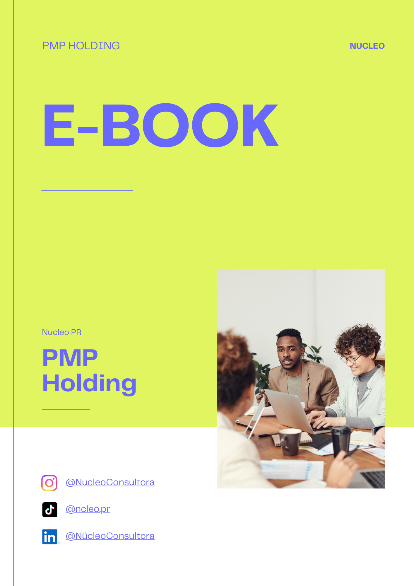 NUCLEO PR/PMP Holging