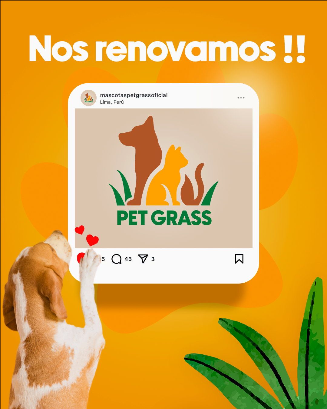 PETGRASS – THE GOLDEN CIRCLE