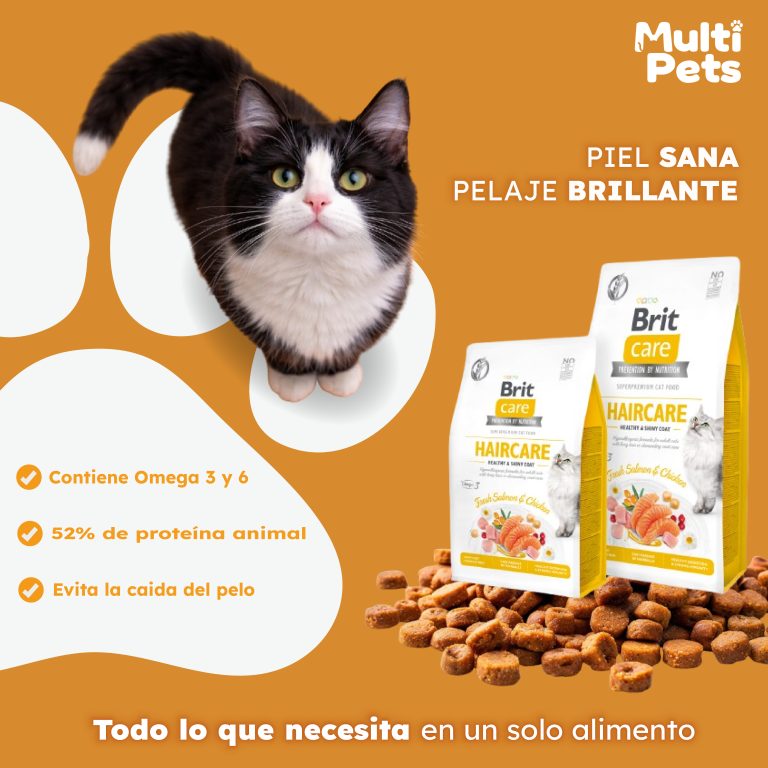 MULTIPETS – SHOT AGENCY